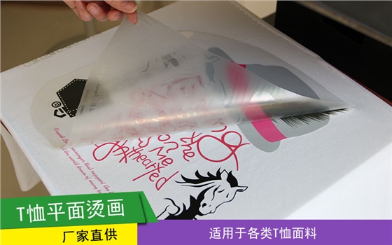 T恤平面烫画